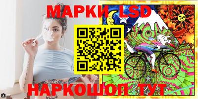 стафф Будённовск