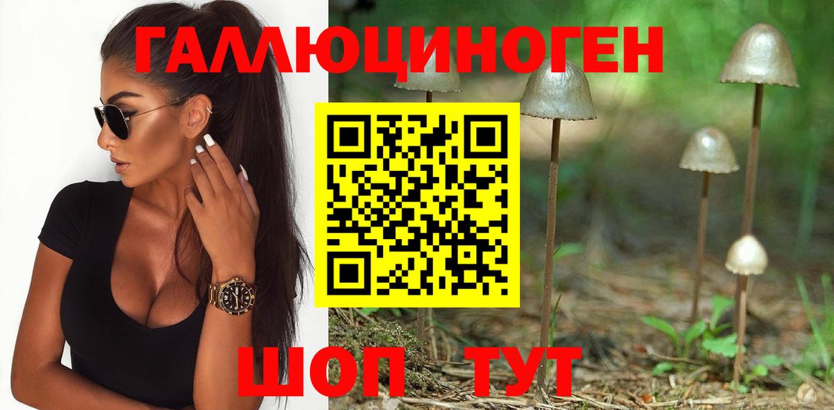 Галлюциногенные грибы Psilocybe  Псилоцибиновые грибы мицелий  Лениногорск  Вход с VPN 