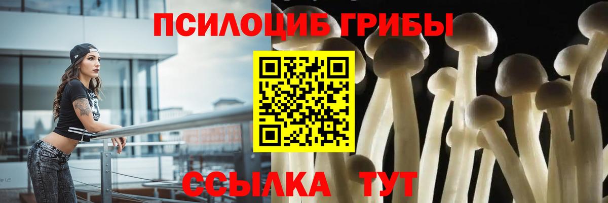 Галлюциногенные грибы GOLDEN TEACHER Лениногорск